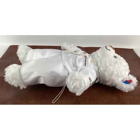 Carnival Cruise Build A Bear 14" Plush Stuffed Teddy Bear with Captains Uniform - Picture 7 of 16